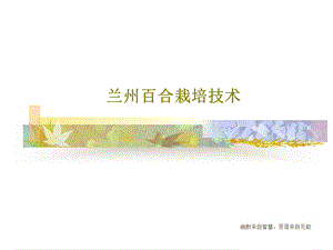 兰州百合栽培技术课件.ppt