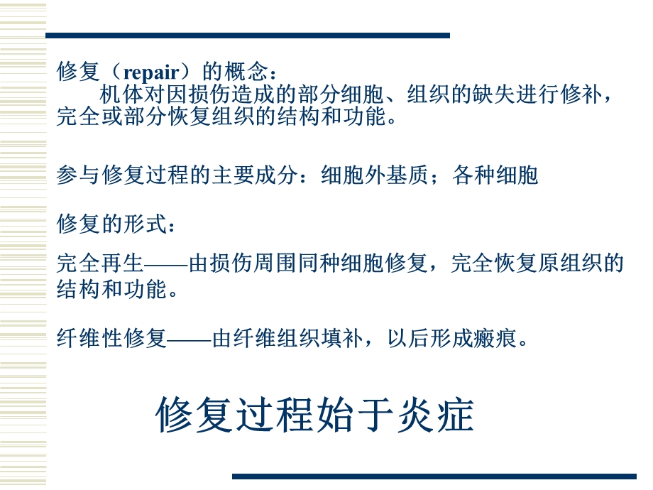 促成纤维细胞课件.ppt_第3页