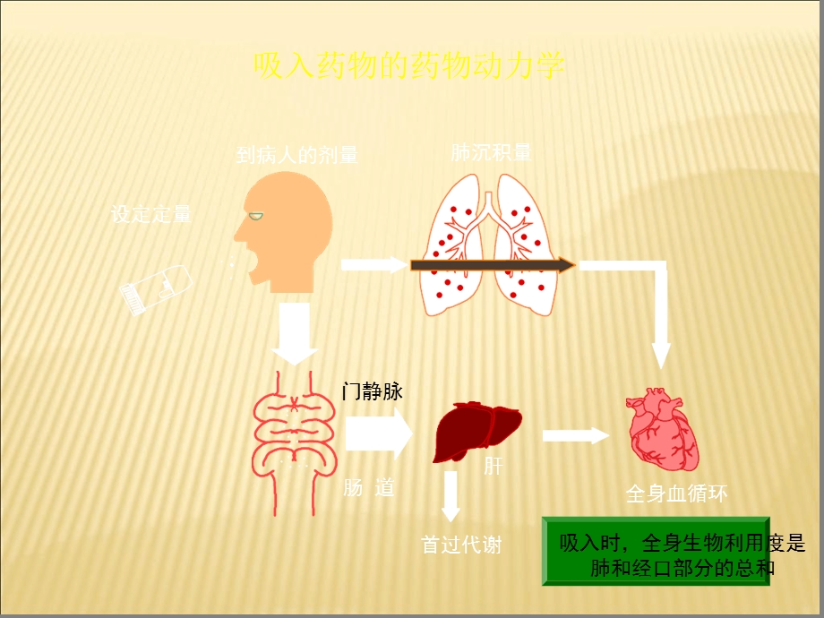 呼吸内科--吸入剂的使用课件.ppt_第3页