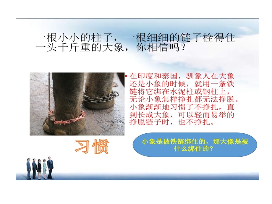 小学生学习习惯培养课件.ppt_第2页