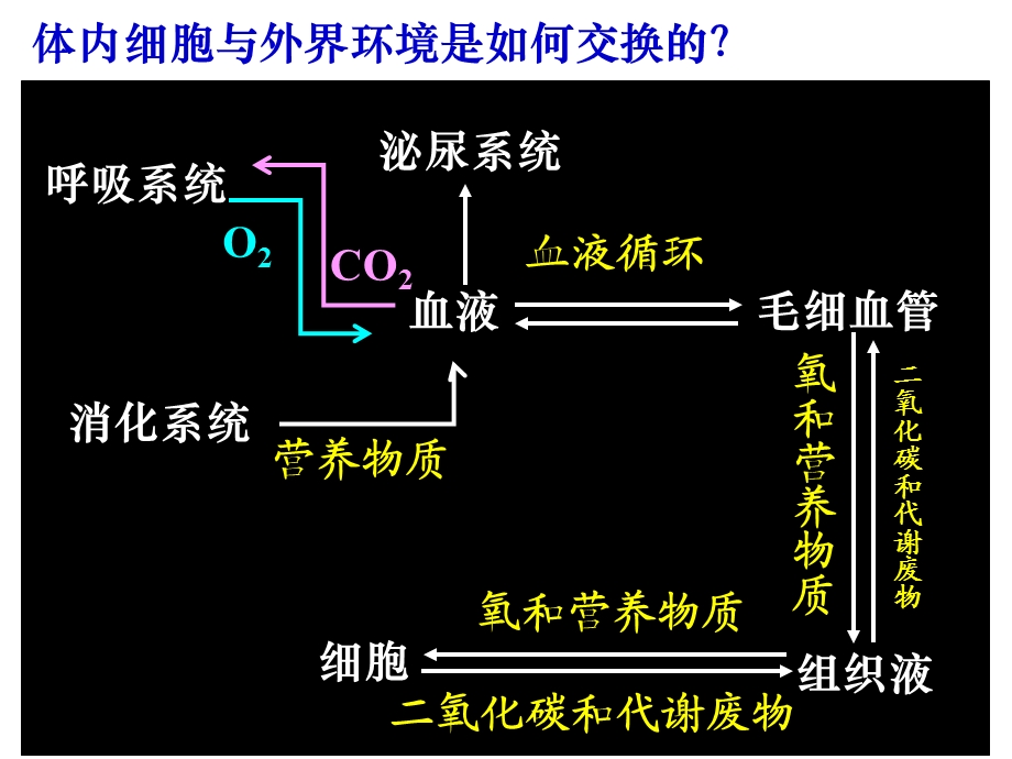 内环境稳太的重要性-课件.ppt_第3页