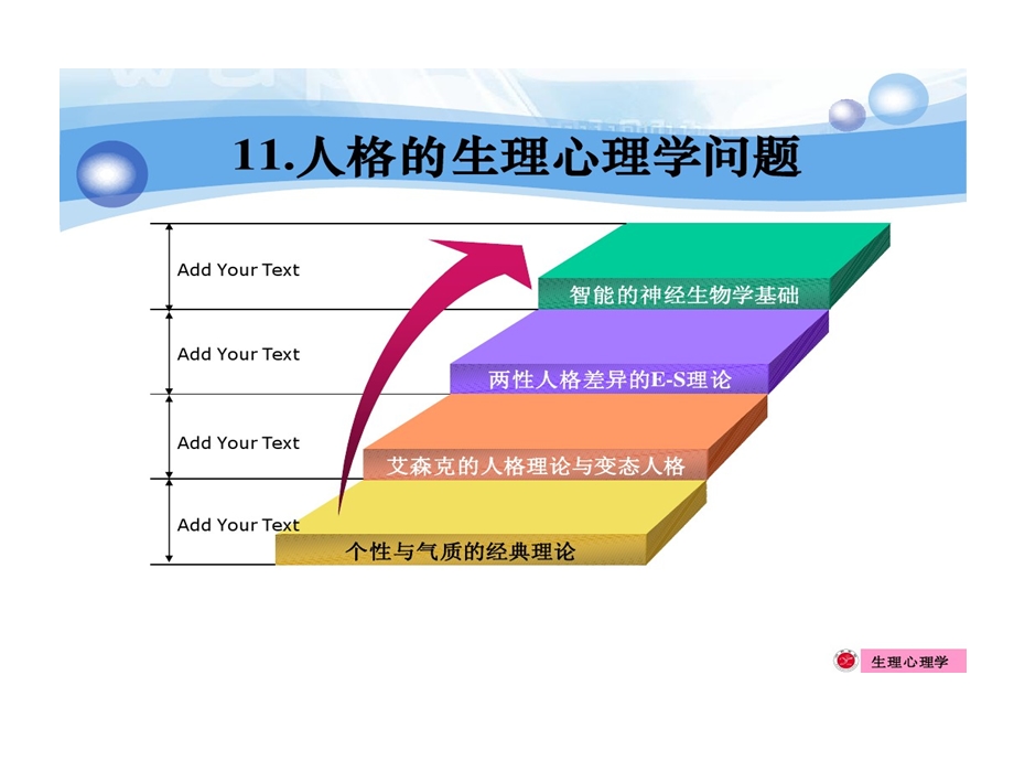 人格生理基础课件.ppt_第3页