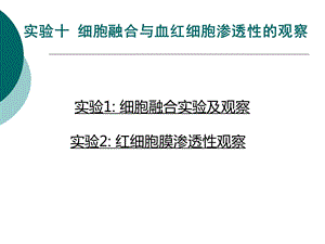 细胞融合及血红细胞渗透性的观察课件.ppt