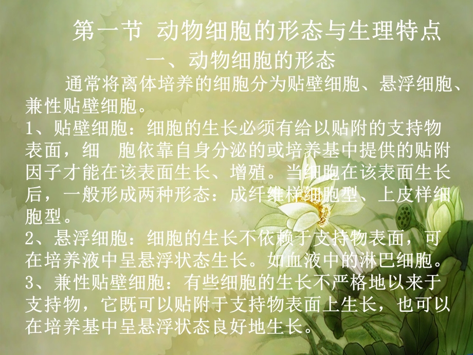 动物细胞制药课件.ppt_第2页