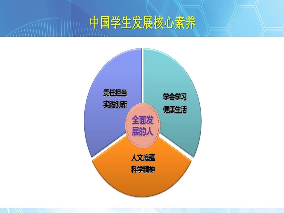 学生核心素养与综合素质评价课件.ppt_第2页