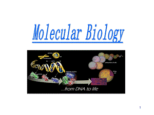 分子生物学概论基因、基因组和基因组学课件.ppt