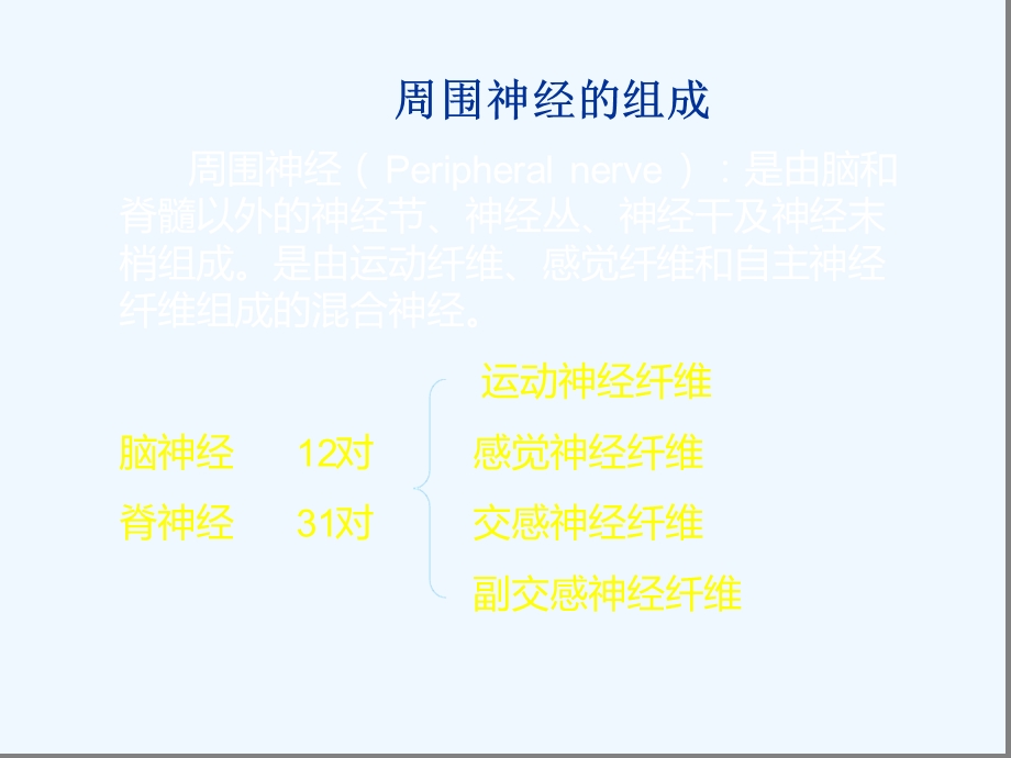 周围神经病损课件.ppt_第3页