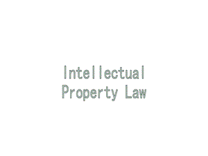 国际商法Part6IntellectualPropertyLaw知识产权法课件.ppt