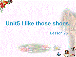 四年级英语上册Unit5Ilikethoseshoes(Lesson25)教学优秀课件人教精通版.ppt