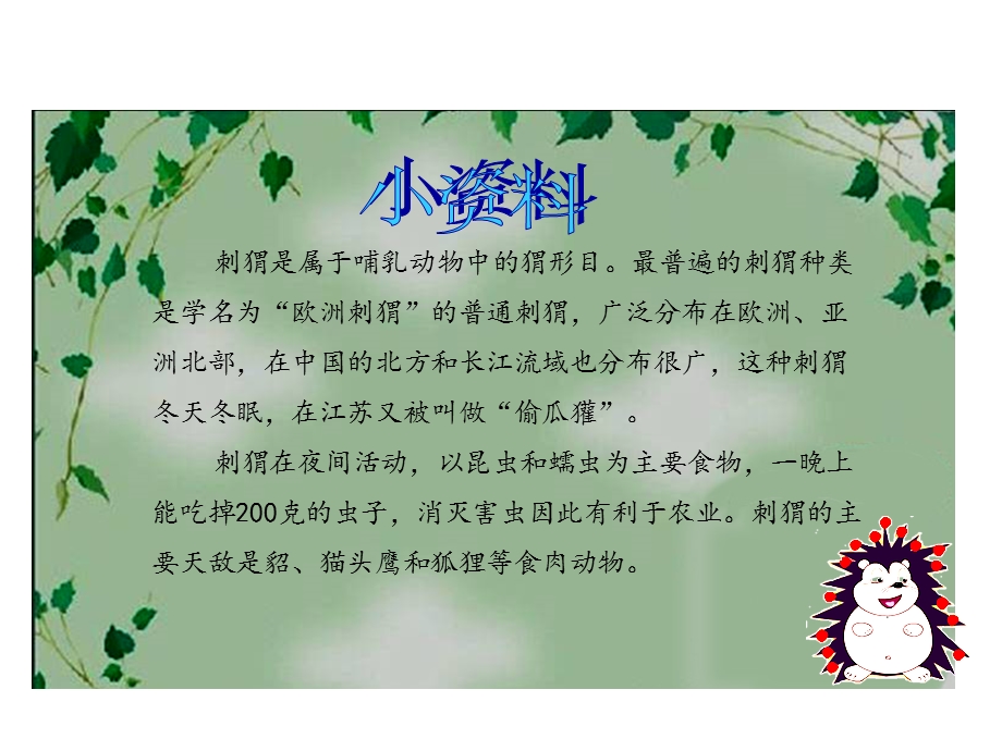 小学三年级语文上册第7单元23带刺的朋友名师公开课省级获奖ppt课件新人教版.ppt_第3页