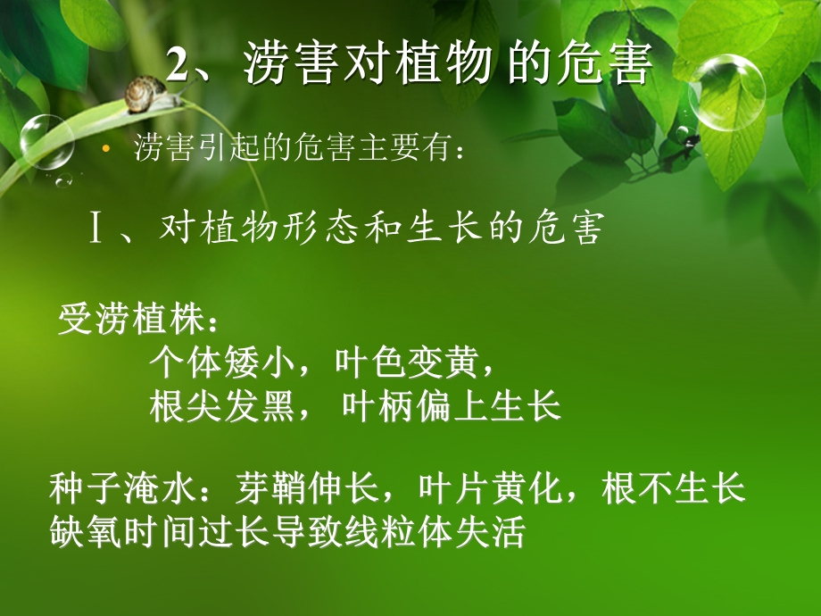 植物生理学PPT.ppt_第3页