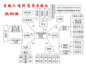 实例产物碱基互补原料模板不同层次遗传物质组成基因的分离自由课件.ppt