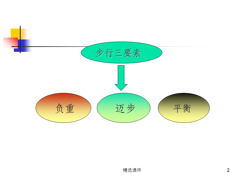 偏瘫步态分析及训练课件.ppt_第2页