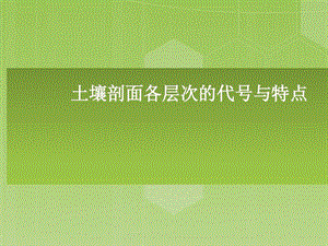 土壤剖面各层次代号与特点课件.ppt