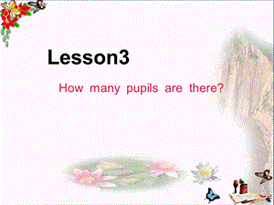 五年级英语下册Lesson3《Howmanypupilsarethere》-精品优选PPYppt课件科普版.ppt