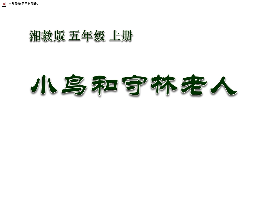 小鸟和守林老人精品教学ppt课件.ppt_第1页