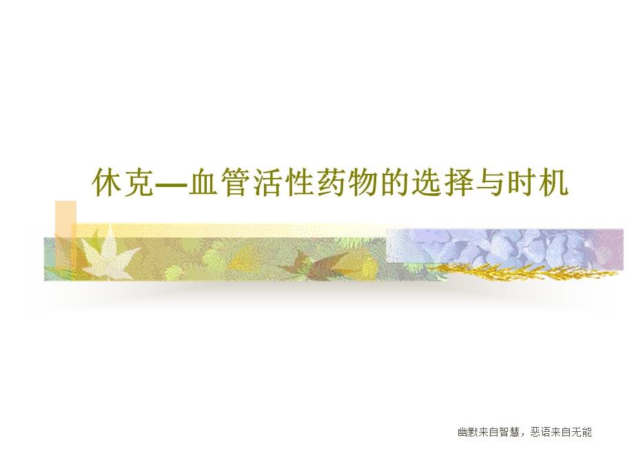 休克血管活性药物的选择与时机课件.ppt_第1页