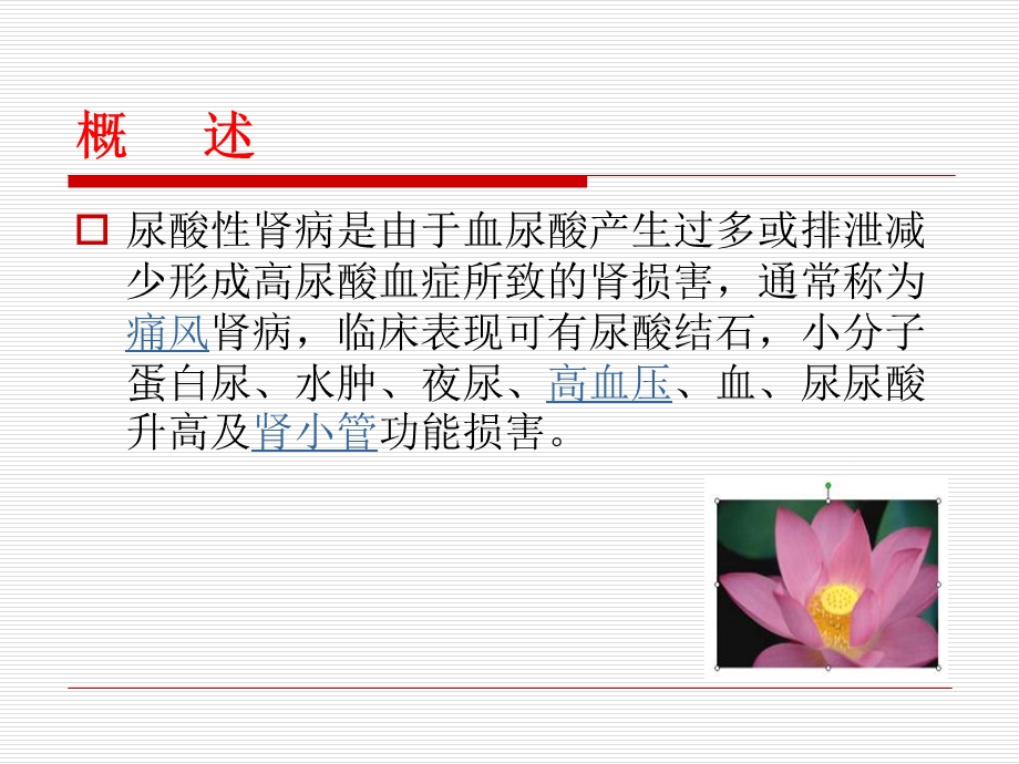 发病机制---高尿酸血症与尿酸性肾病课件.ppt_第3页