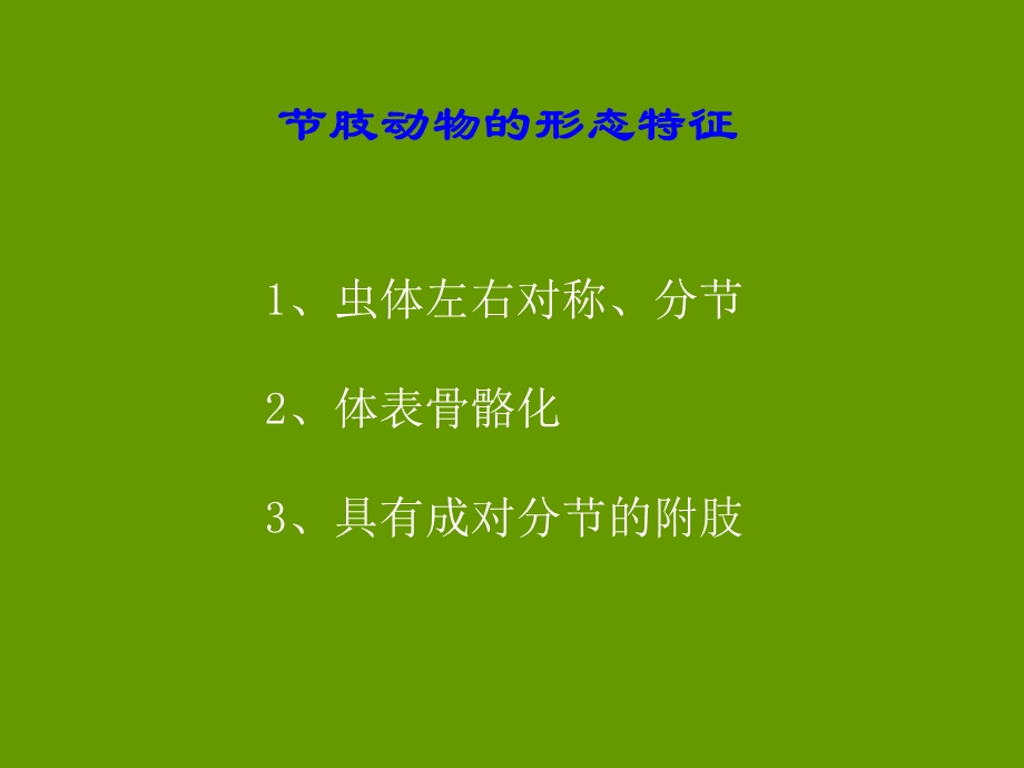 医学节肢动物课件.ppt_第3页