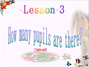 五年级英语下册Lesson3《Howmanypupilsarethere》-精品优选PPYppt课件 科普版.ppt