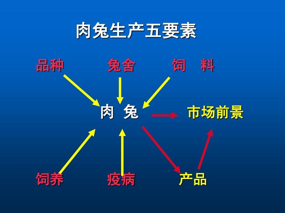 优质肉兔高效养殖关键技术课件.ppt_第2页