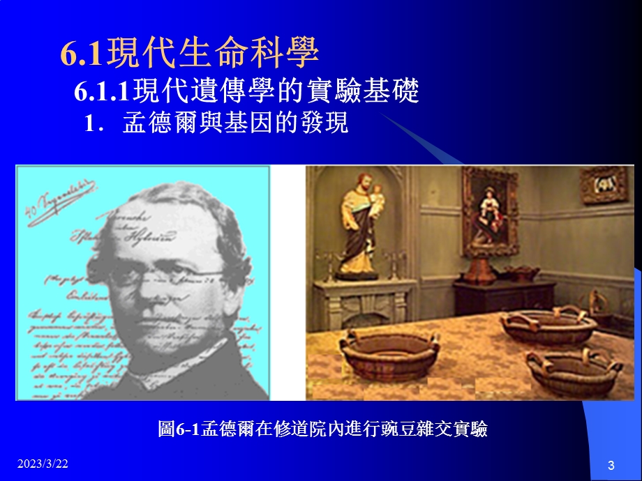 即DNA分子是遗传信息的载体课件.ppt_第3页