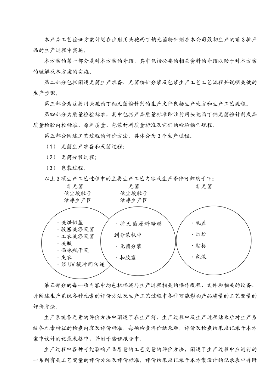 工艺验证方案(范例).doc_第2页