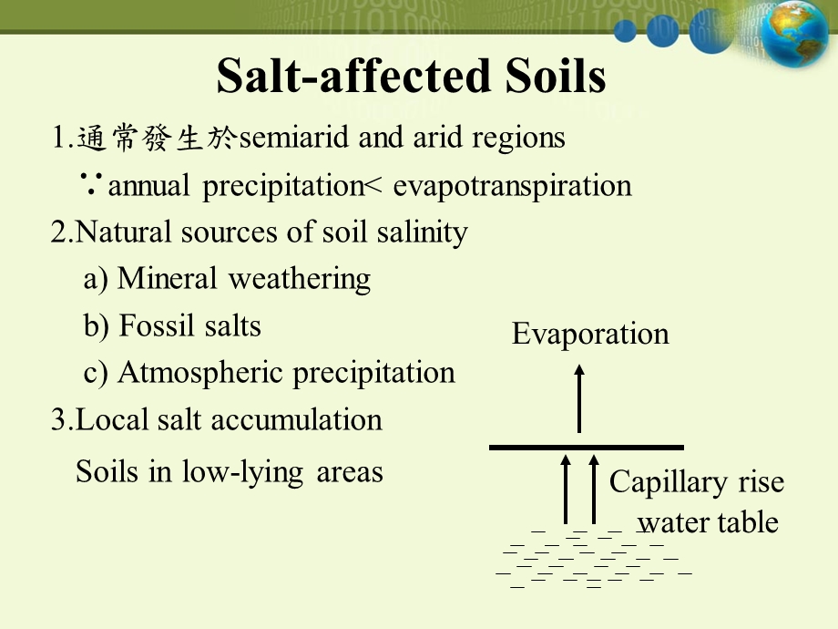 受盐害的土壤课件.ppt_第1页