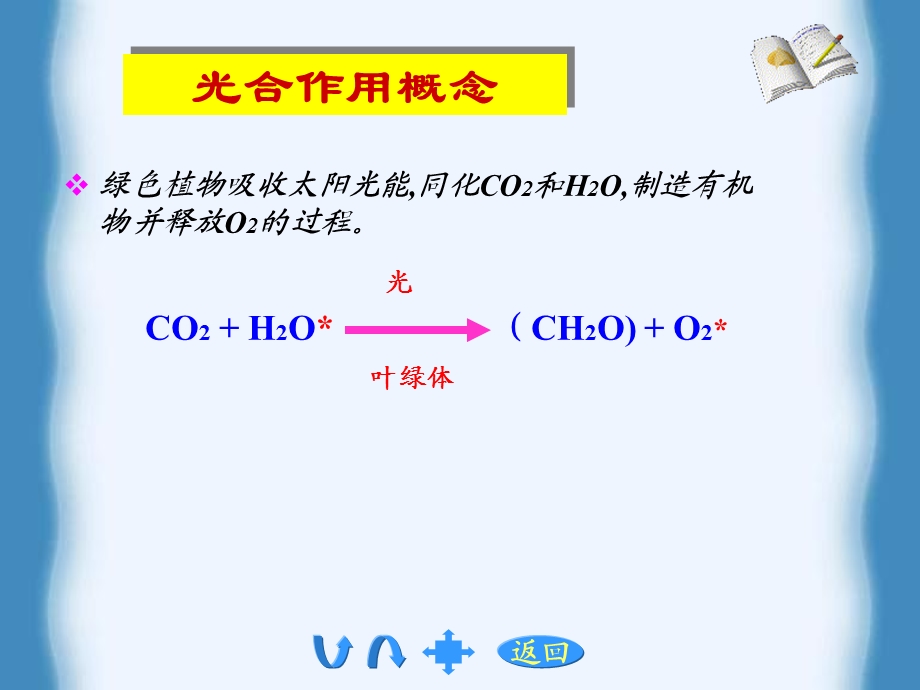 植物生理学光合作用.ppt_第3页