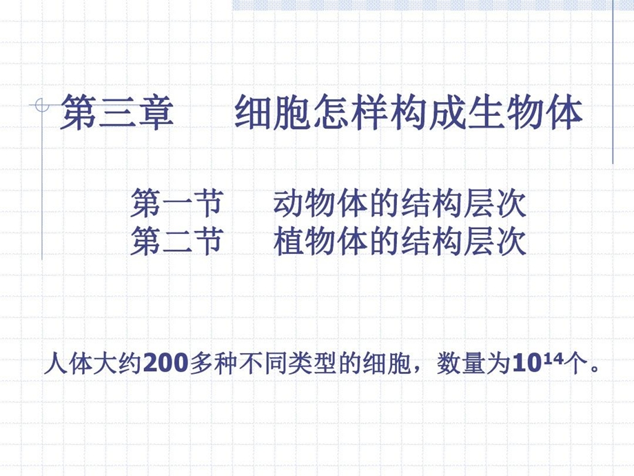 动植物体的结构层次课件.ppt_第2页