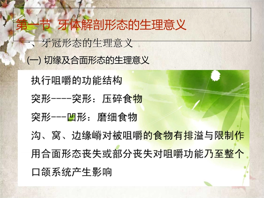 口腔解剖生理学第三章口腔生理课件.ppt_第3页