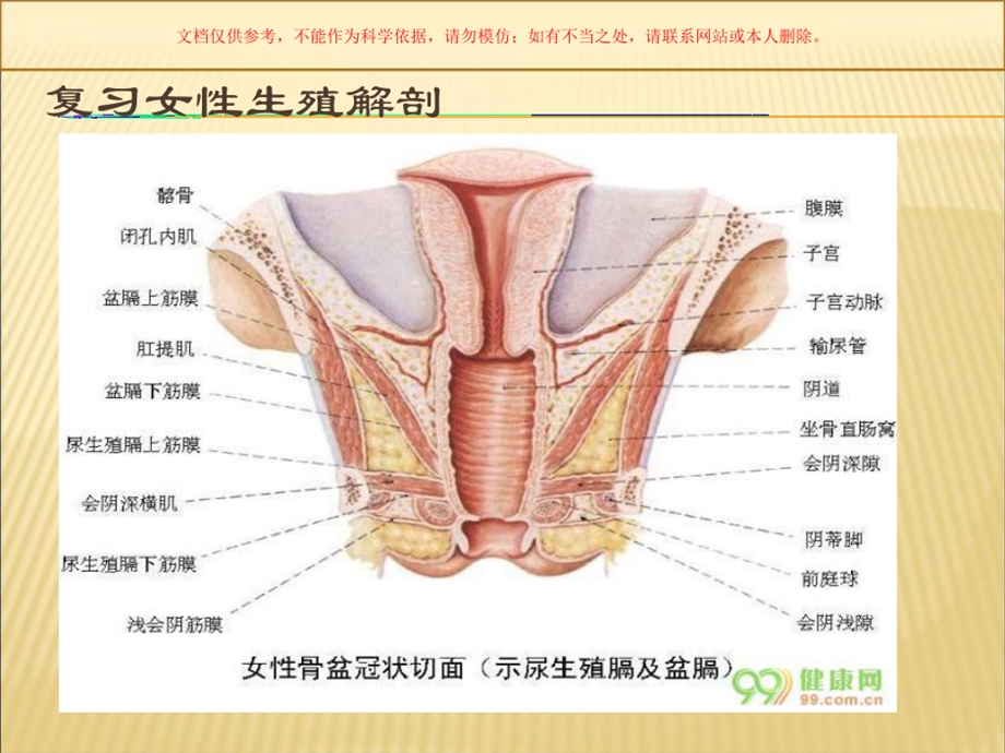 会阴擦洗专业知识讲座课件.ppt_第2页