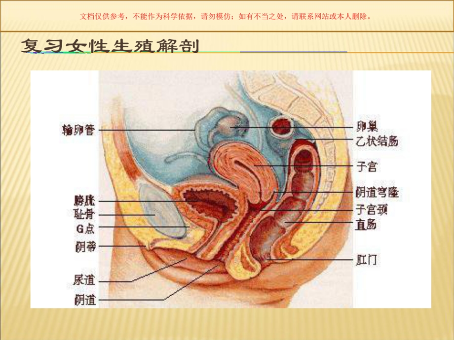 会阴擦洗专业知识讲座课件.ppt_第3页