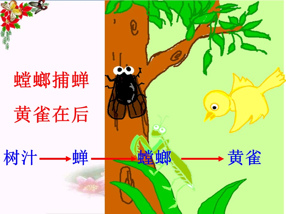 六年级科学上册密切联系的生物界课件青岛版.ppt_第2页