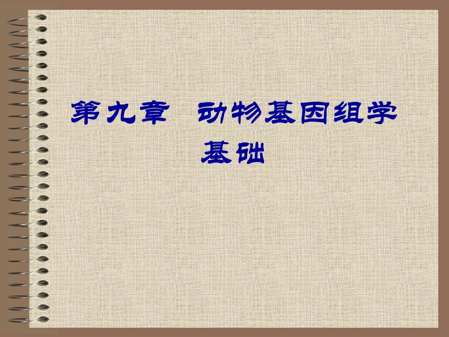 动物基因组学基础课件.ppt_第1页