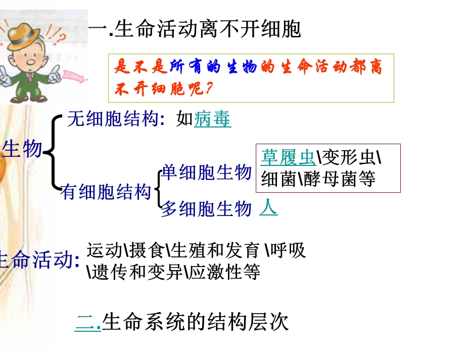 人体免疫和健康与细胞有关!课件.ppt_第3页