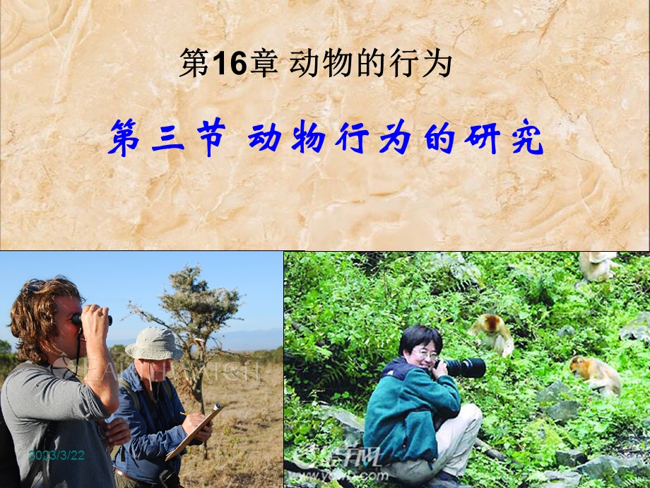 北师大版生物八年级上册16章3节动物行为的研究ppt课件 .ppt_第1页