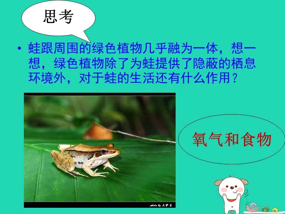 人教版《绿色植物是生物圈中有机物的制造者》ppt课件.ppt_第2页