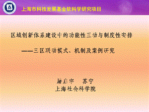 区域创新体系建设中的功能性互动与制度性安排课件.ppt