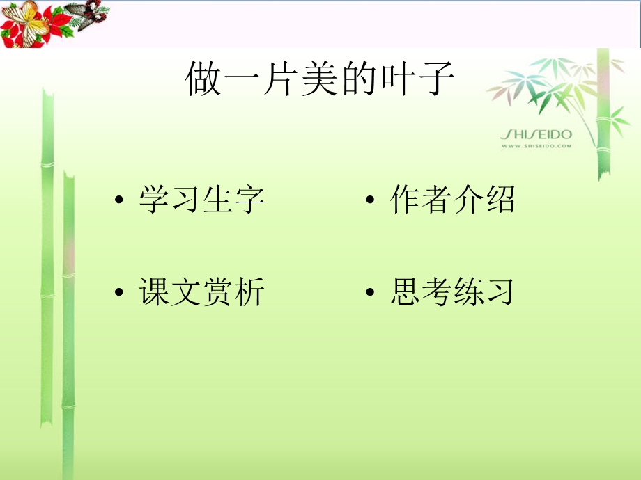 做一片美的叶子-课件.ppt_第2页