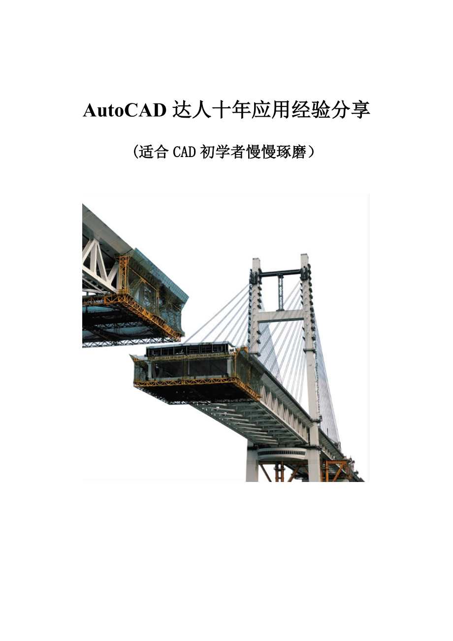 AutoCAD初学者指南——CAD达人多应用经验分享.doc_第1页