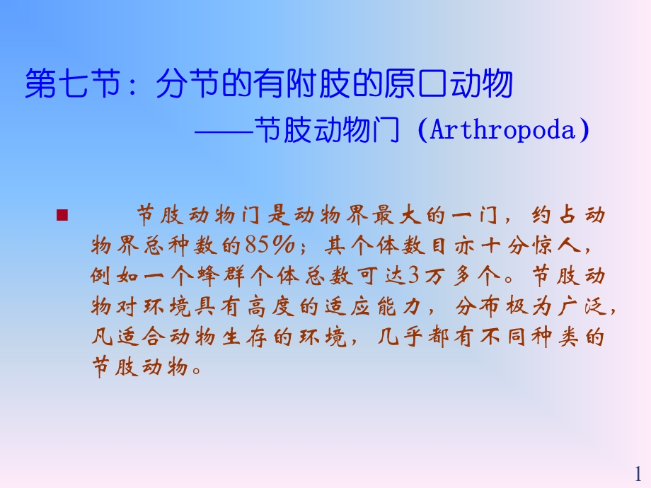 分节的有附肢的原口动物课件.ppt_第1页