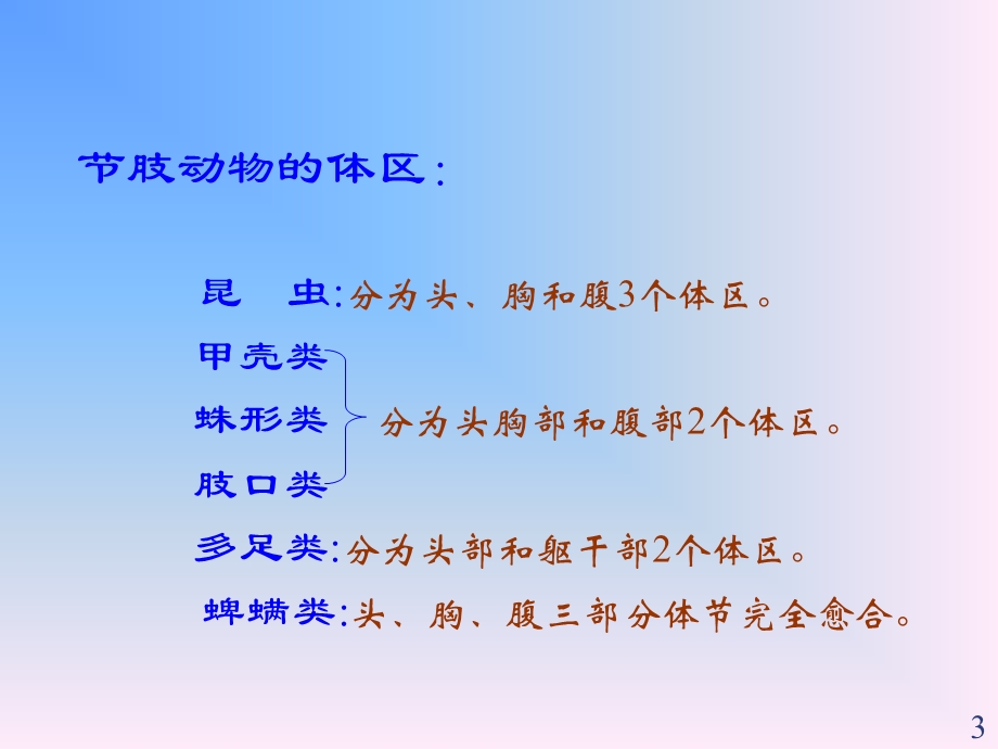 分节的有附肢的原口动物课件.ppt_第3页