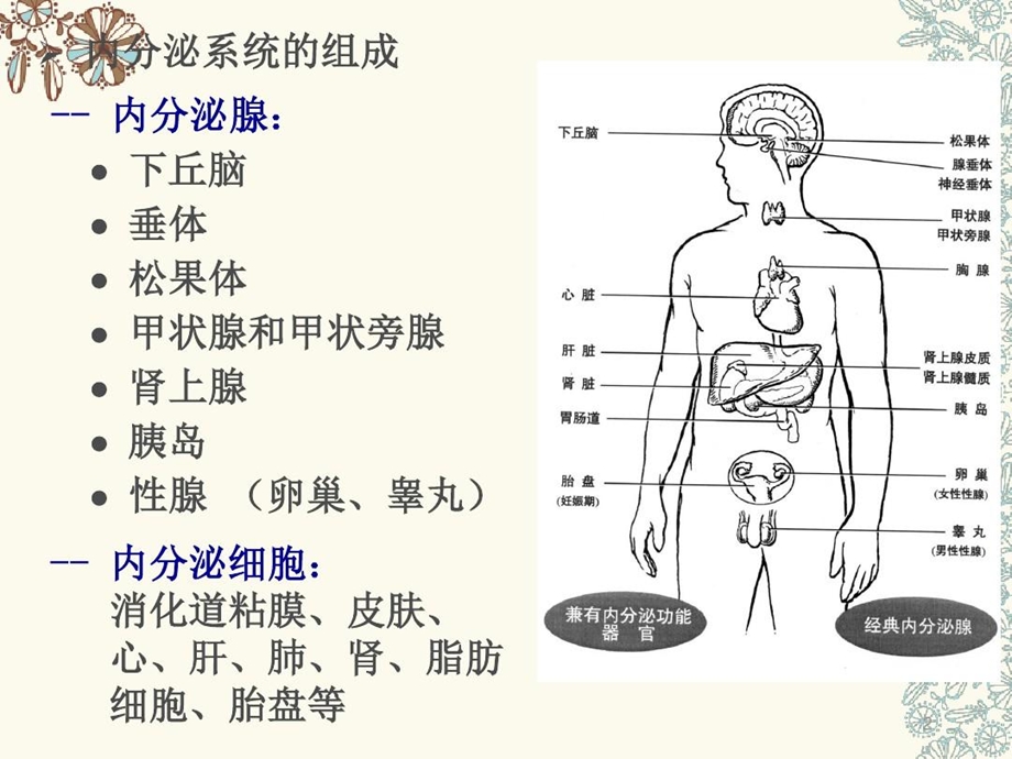 单纯性甲状腺肿病人的护理课件.ppt_第3页