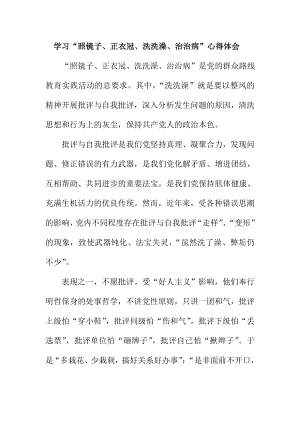 学习“照镜子、正衣冠、洗洗澡、治治病”心得体会.doc