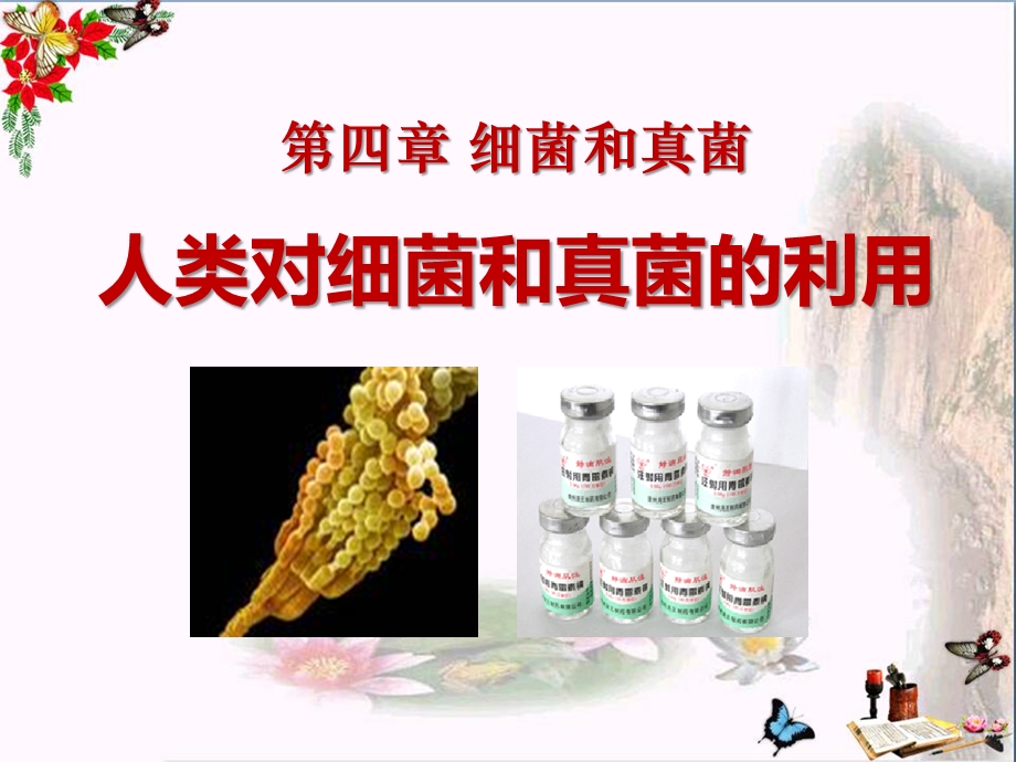 人类对细菌和真菌的利用-细菌和真菌课件 .ppt_第1页