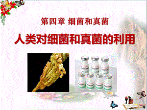 人类对细菌和真菌的利用-细菌和真菌课件 .ppt