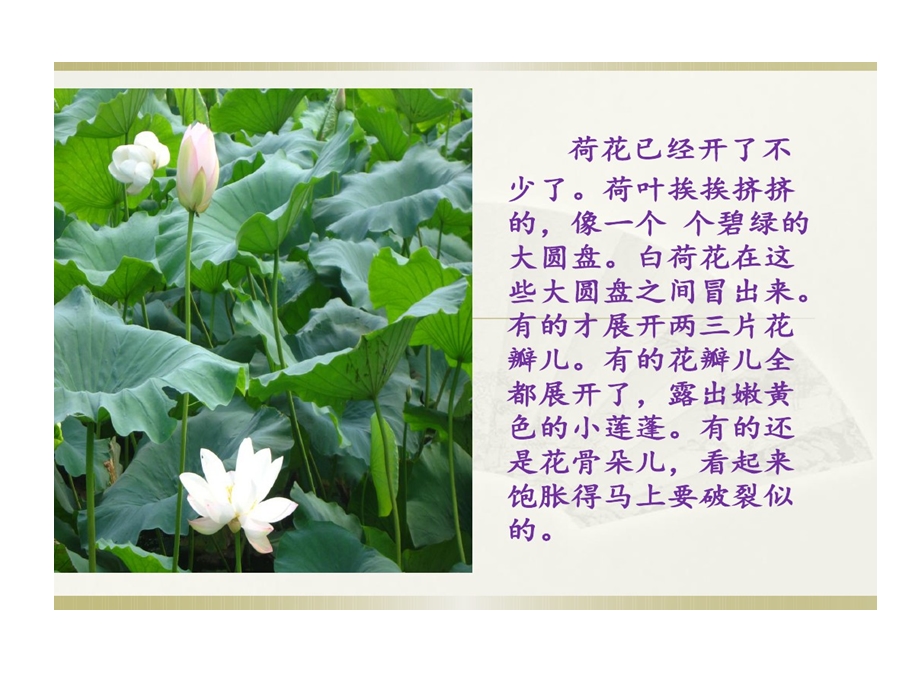 写景作文观察方法课件.ppt_第3页