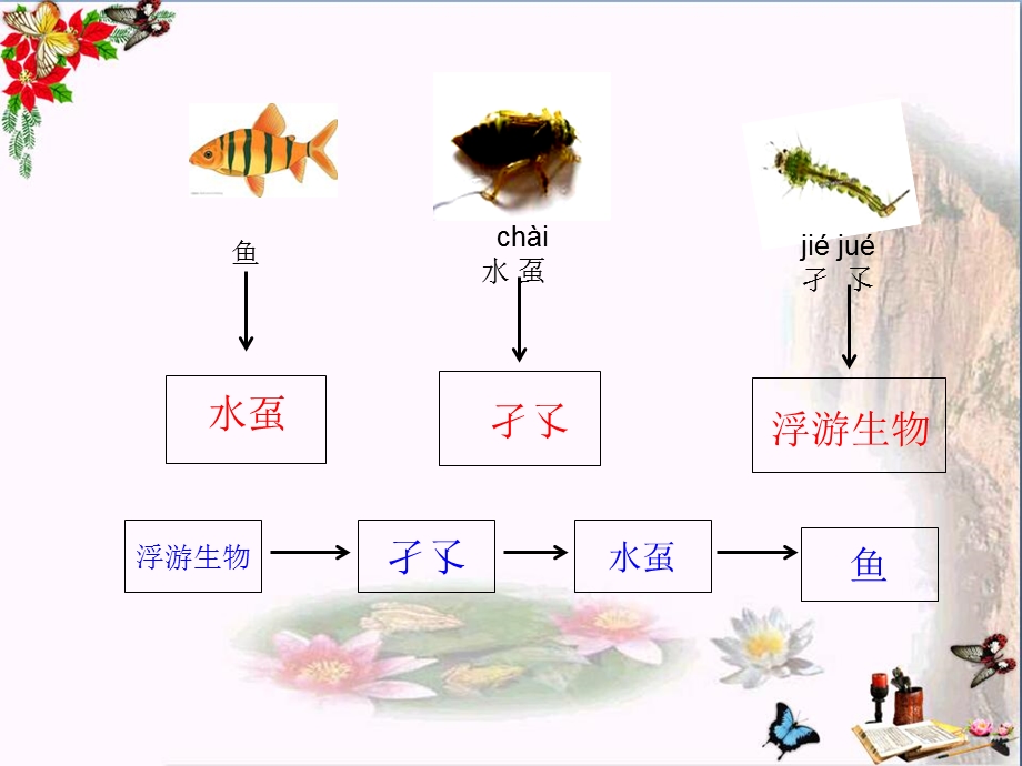 六年级科学上册1.3走进池塘ppt课件湘教版.ppt_第2页