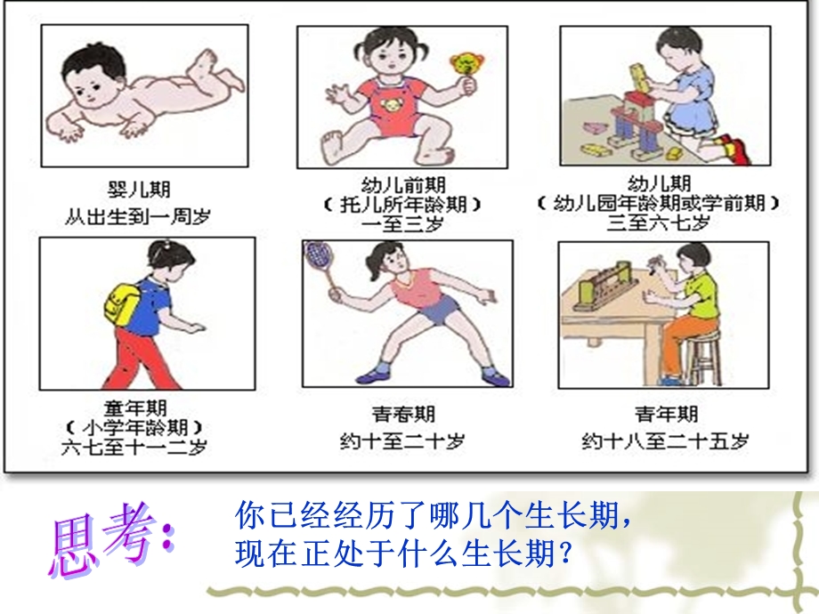 小学生青春期健康知识讲座(女孩)课件.ppt_第2页